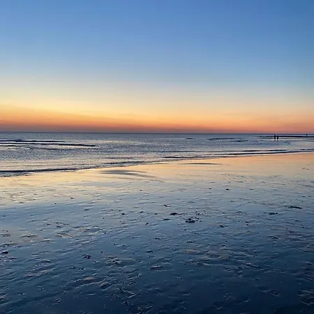 Happy, Vakantiewoning Op Loopafstand & Duinen! *