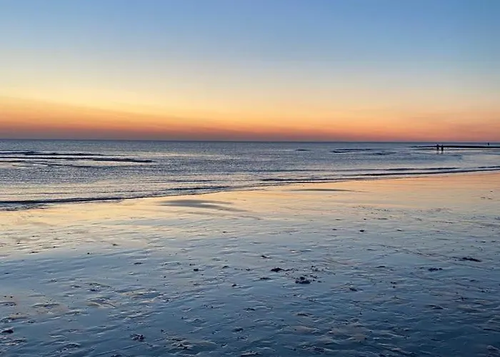 Happy, Vakantiewoning Op Loopafstand & Duinen! *